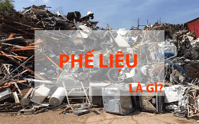 phe lieu la gi 1